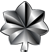 Lieutenant Colonel